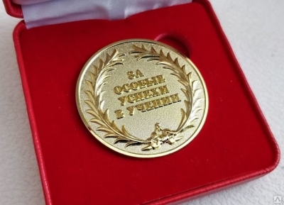 Обучающиеся гимназии награждены региональной медалью 